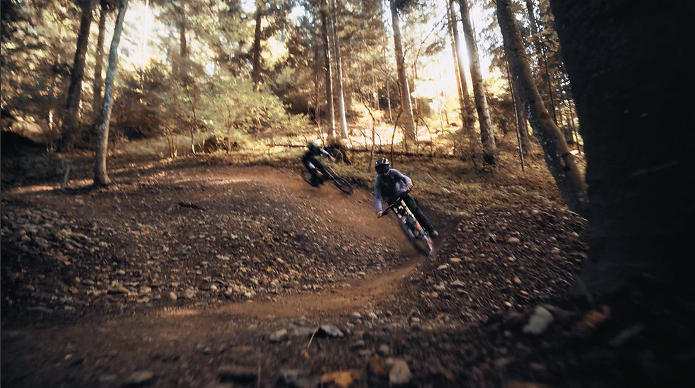 Screenshot 2025-03-28 at 11.11.22-2.jpg