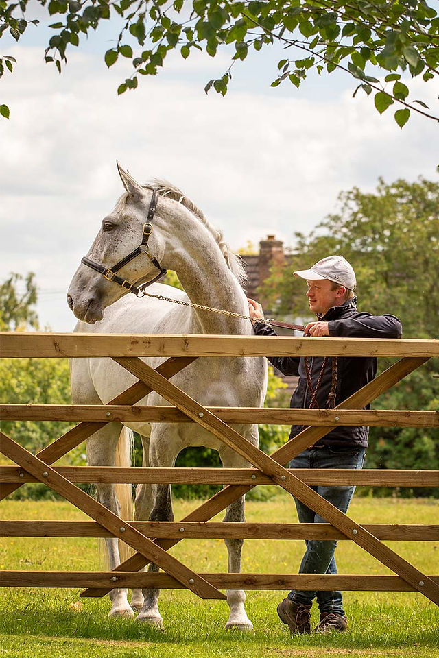 A horse and his owner lent against a fence looking content with green fields behind in their equine photoshoot