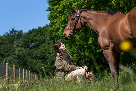 Homepage - Equine Photoshoots 2.jpg