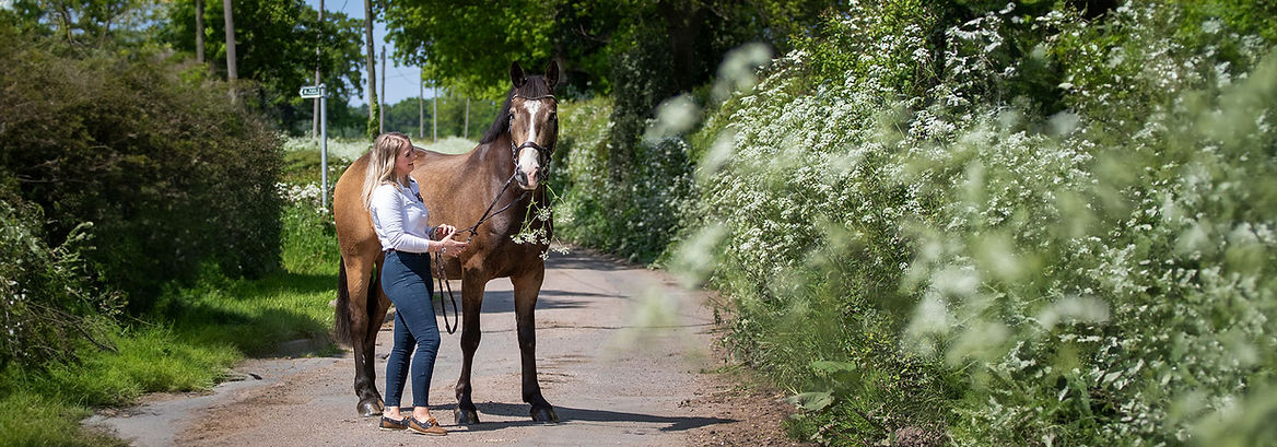 Homepage - Equine Photography Banner.jpg