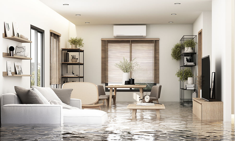 Repaired Home