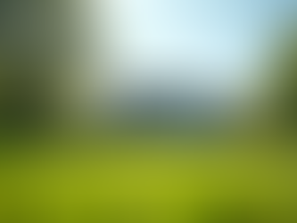 Understanding Homeowners Insurance: A Comprehensive Guide