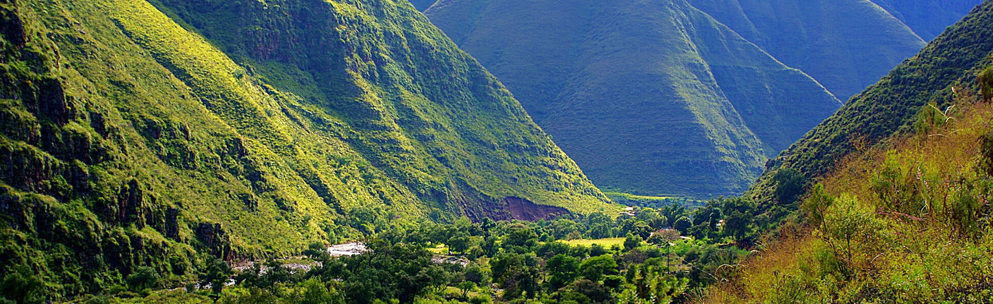 RESERVA_BIOLOGICA_DE_LA_CORDILLERA_DE_SAMADSC01238.jpg