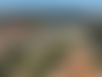 Critical Minerals Firm Weighs Plan to Build US Rare Earth Plant