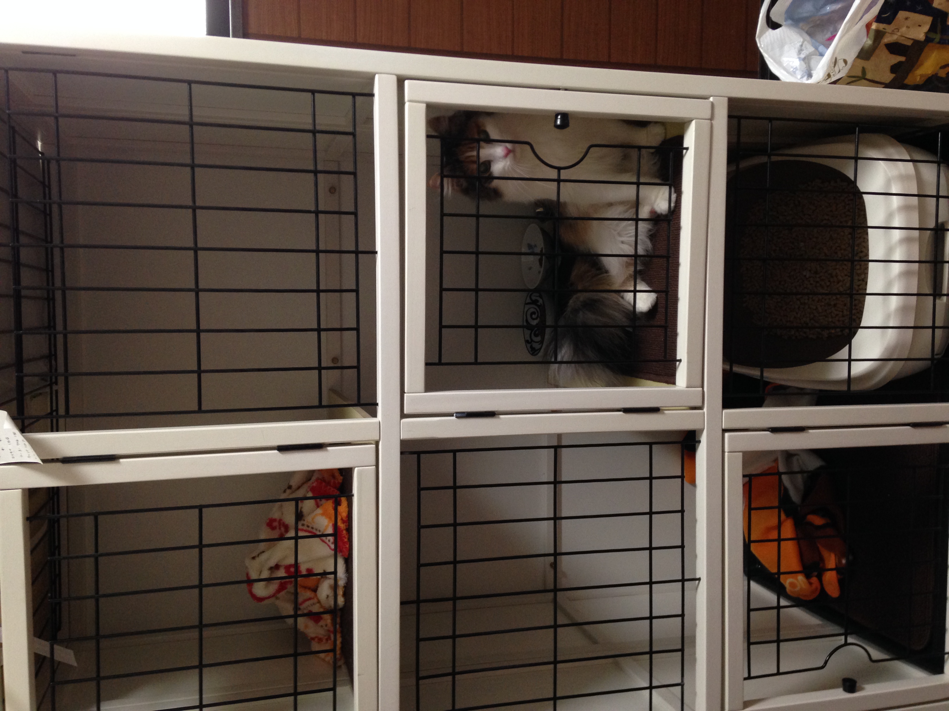 猫ちゃんのゲージです
