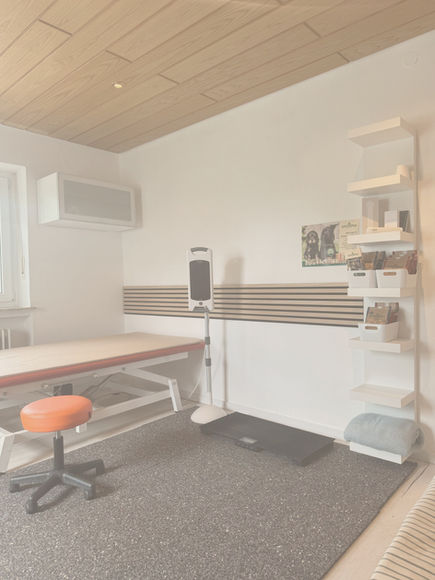 Bild von der Praxis Physiotherapie Vogelsberg