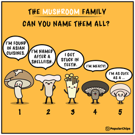 Mushroom