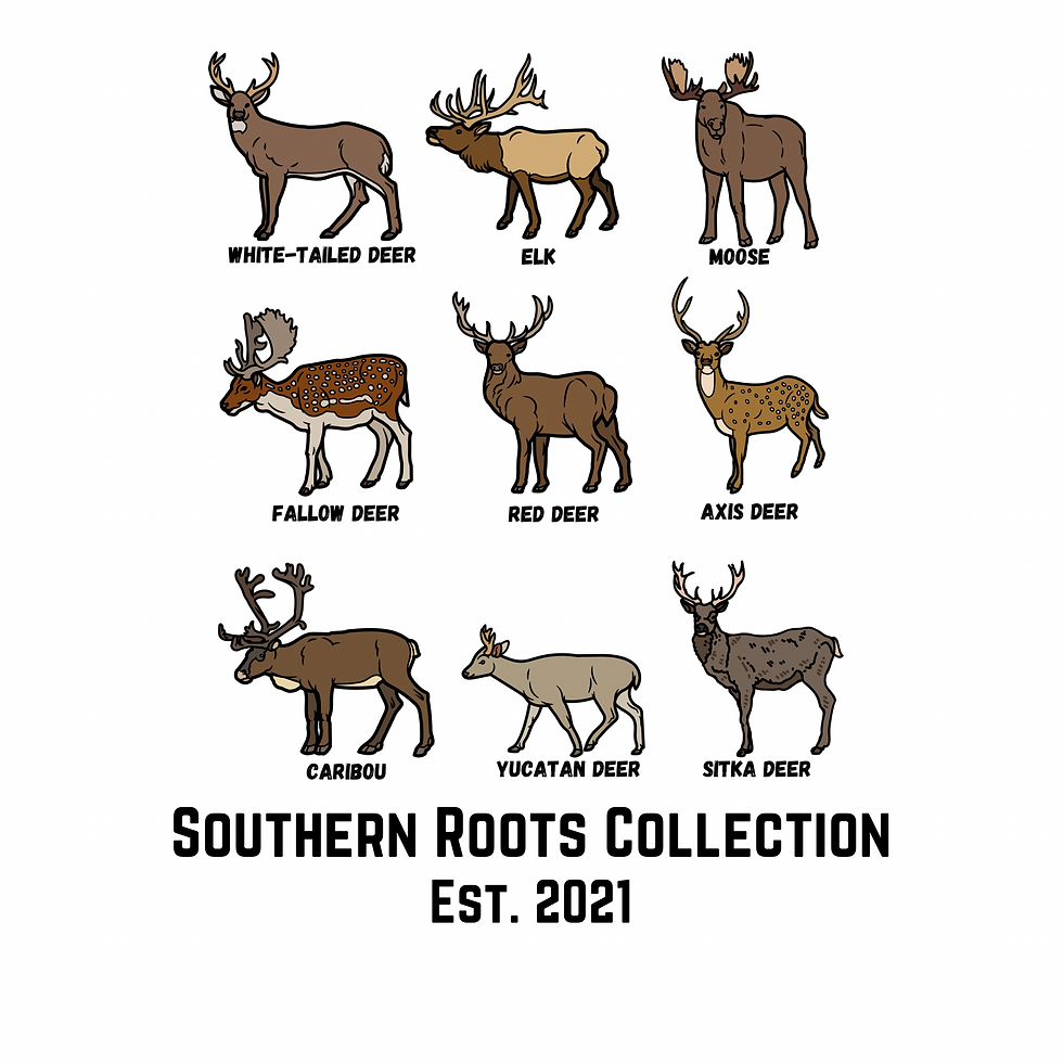 Types of deer shirt 