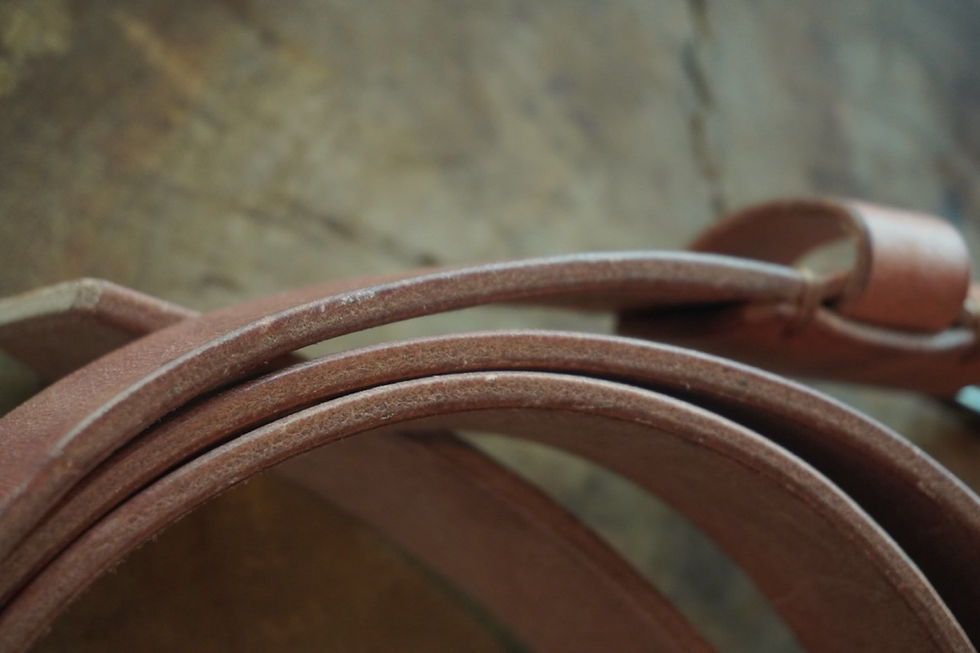 Thumbnail: Oakrage Tauruscamp Belt