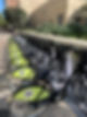 Bicycles5.jpg