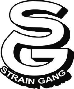 Vector Smart Object-3.png