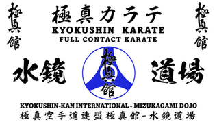 Dojo banner
