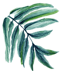 feuille