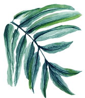 feuille