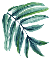 feuille