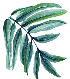 feuille