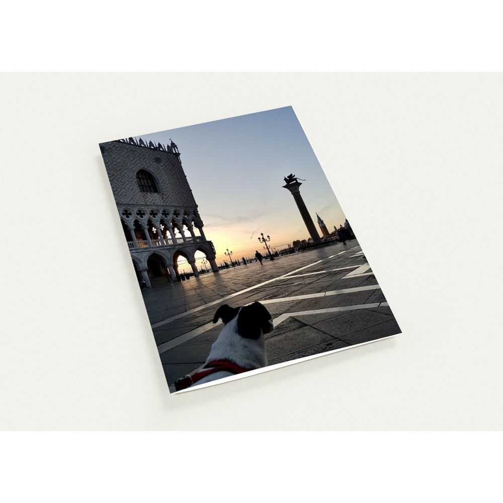Bobo in Piazza San Marco, Venice Pack of 10 Greeting Cards (US & CA)