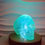 Miniaturbild: Totenkopf Modell IV aus Kunstharz mit LED Sockelbeleuchtung