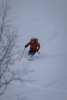 20240221_214924-f9eb.jpg