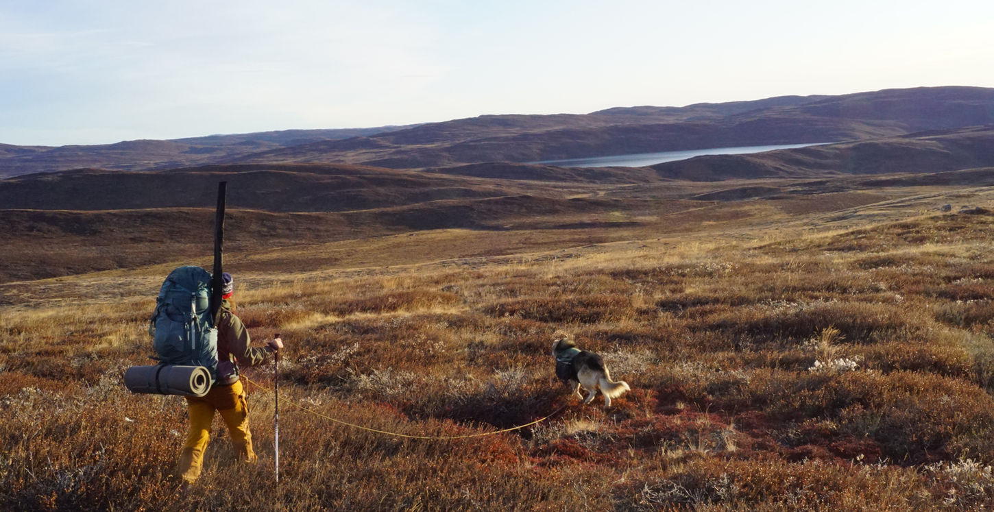 greenland hiking, vandring grønland, vandreture grønland