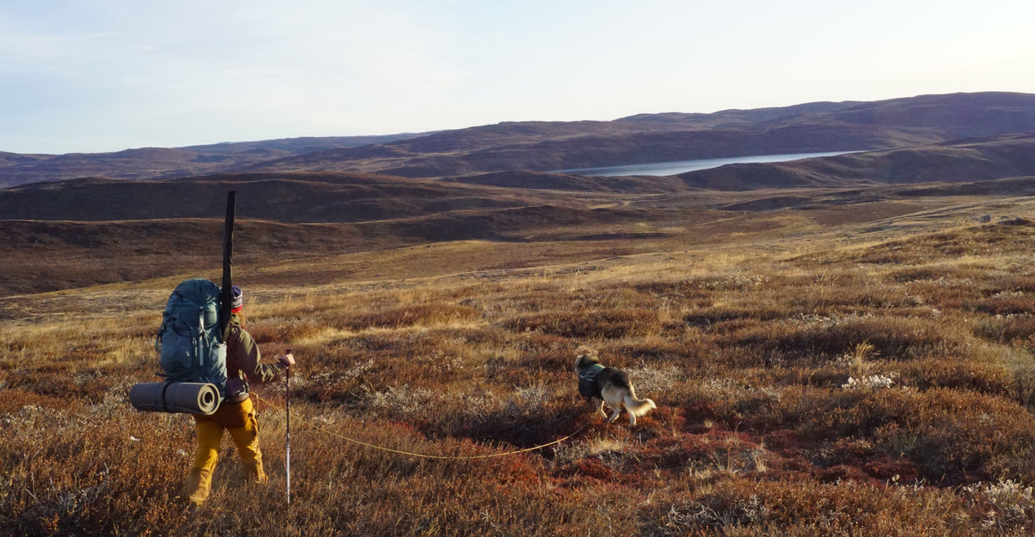 greenland hiking, vandring grønland, vandreture grønland