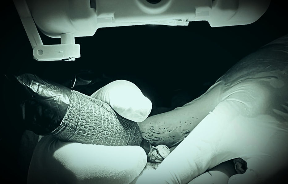Ernesto Mn'Z en train de tatouer