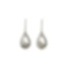 Teardrop Fixed Hook Earrings