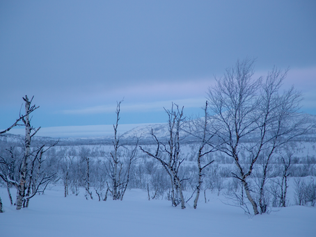 Performance as placemaking