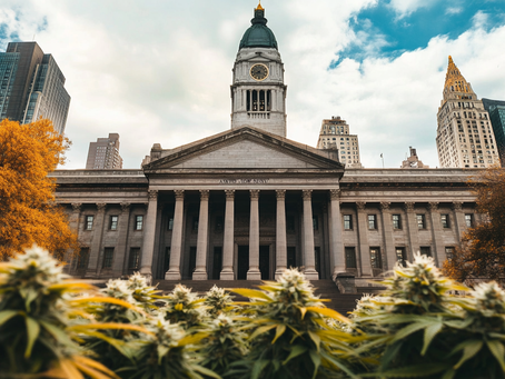 Government building with cannabis plants in front.
