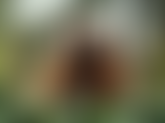 Groundhog Day: Six More Weeks of Winter or an Early Spring Sesh?