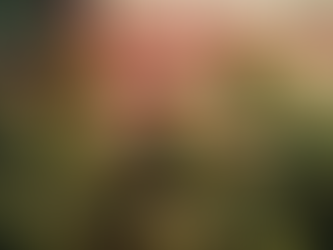 Red, White, and Green: How to Incorporate Cannabis in Your July 4th Celebrations