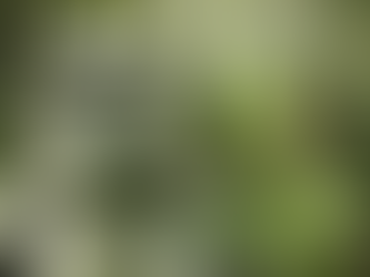 May The 4th Be With You