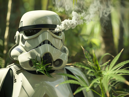 May The 4th Be With You