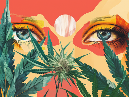 Exploring the Five Senses with Cannabis