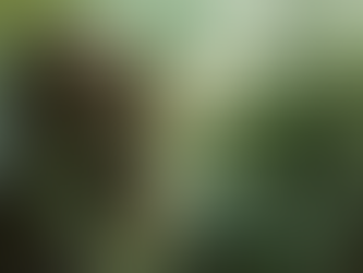 Happy Father's Day from Blunt Talk!