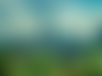 Policy Spotlight: New Developments in New York State’s Cannabis Industry