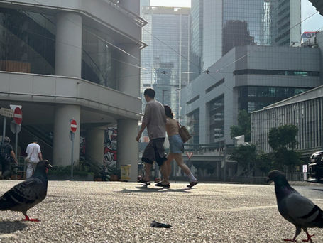 點止三分一