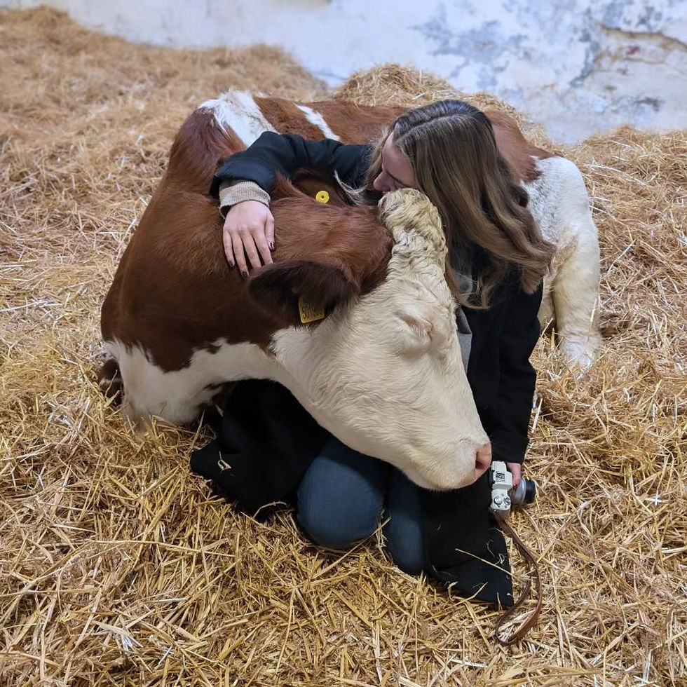 © Dumble Farm