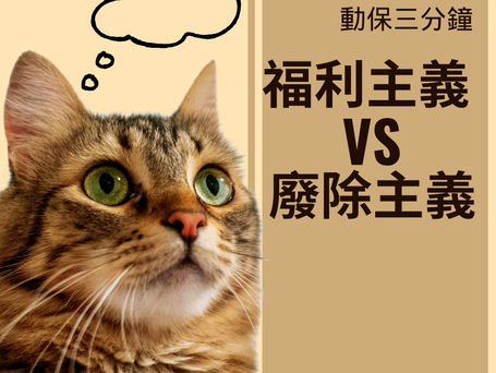 福利主義 vs 廢除主義