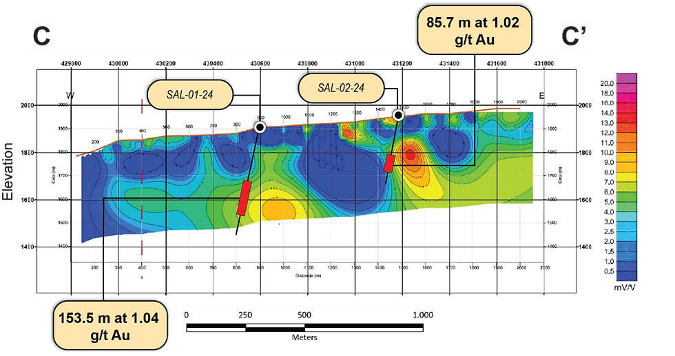 Figure 5: Cross-section C-C' showing chargeability (mV/V) on IP line C1 and the mineralized intersections of SAL 01-24 and SAL 02-24 – illustrating the relationship between moderate-to-high IP chargeability data collected in 2018 by San Lorenzo and gold mineralization.