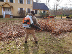 Fall clean up