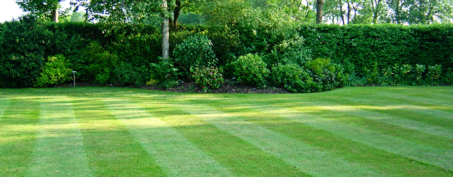 Lawn Care Seasonal.