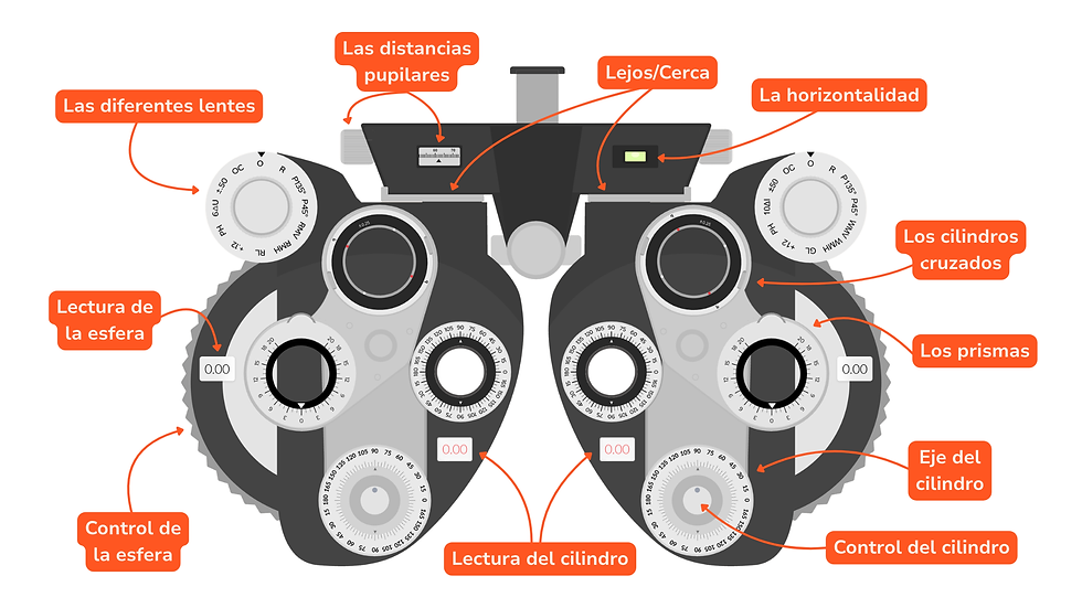 Anatomía del foróptero etiquetada