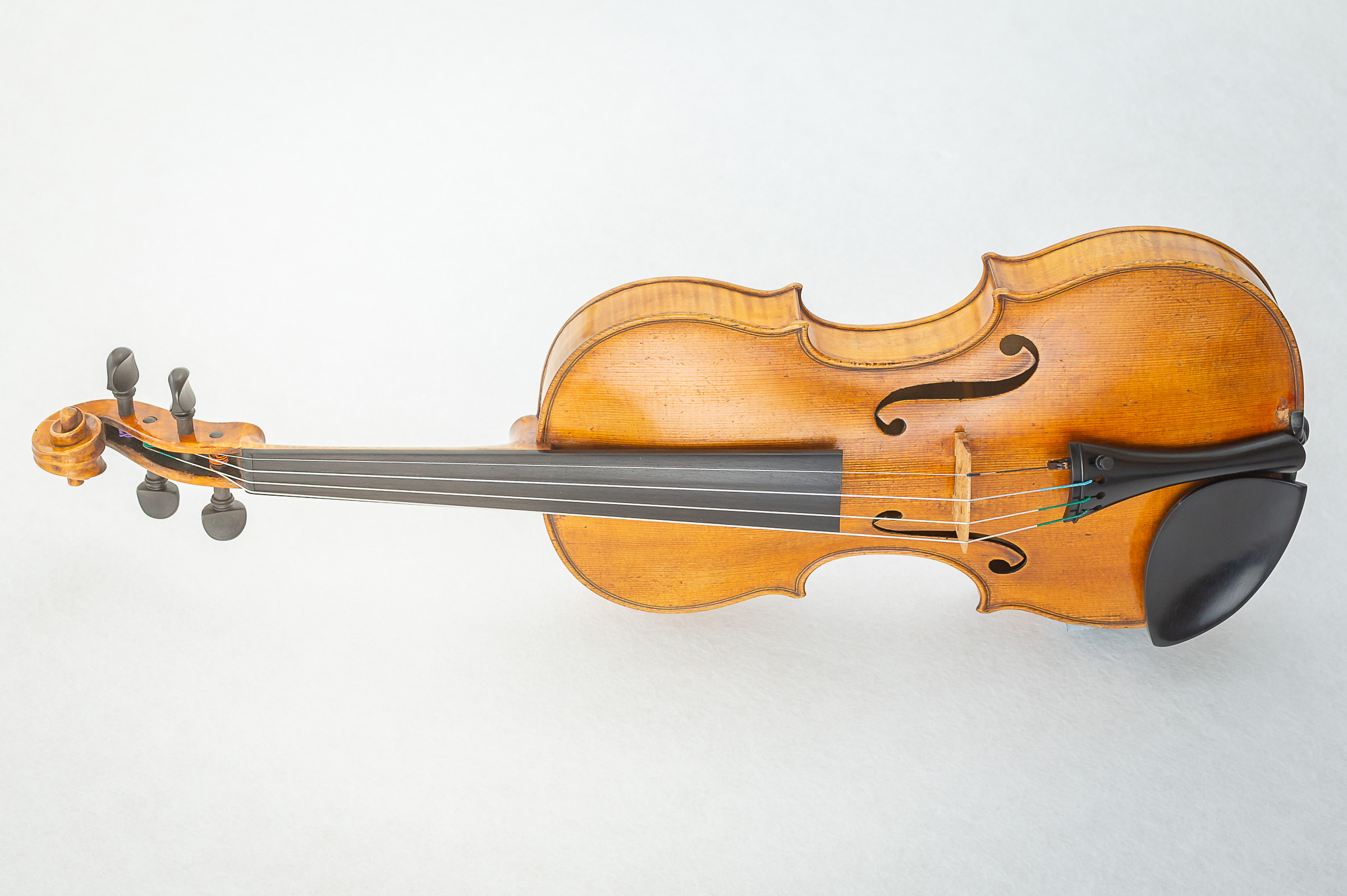 Violin012