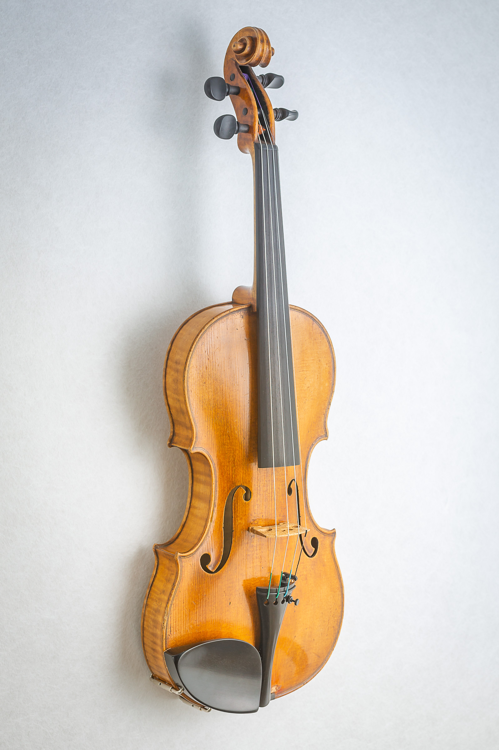 Violin016
