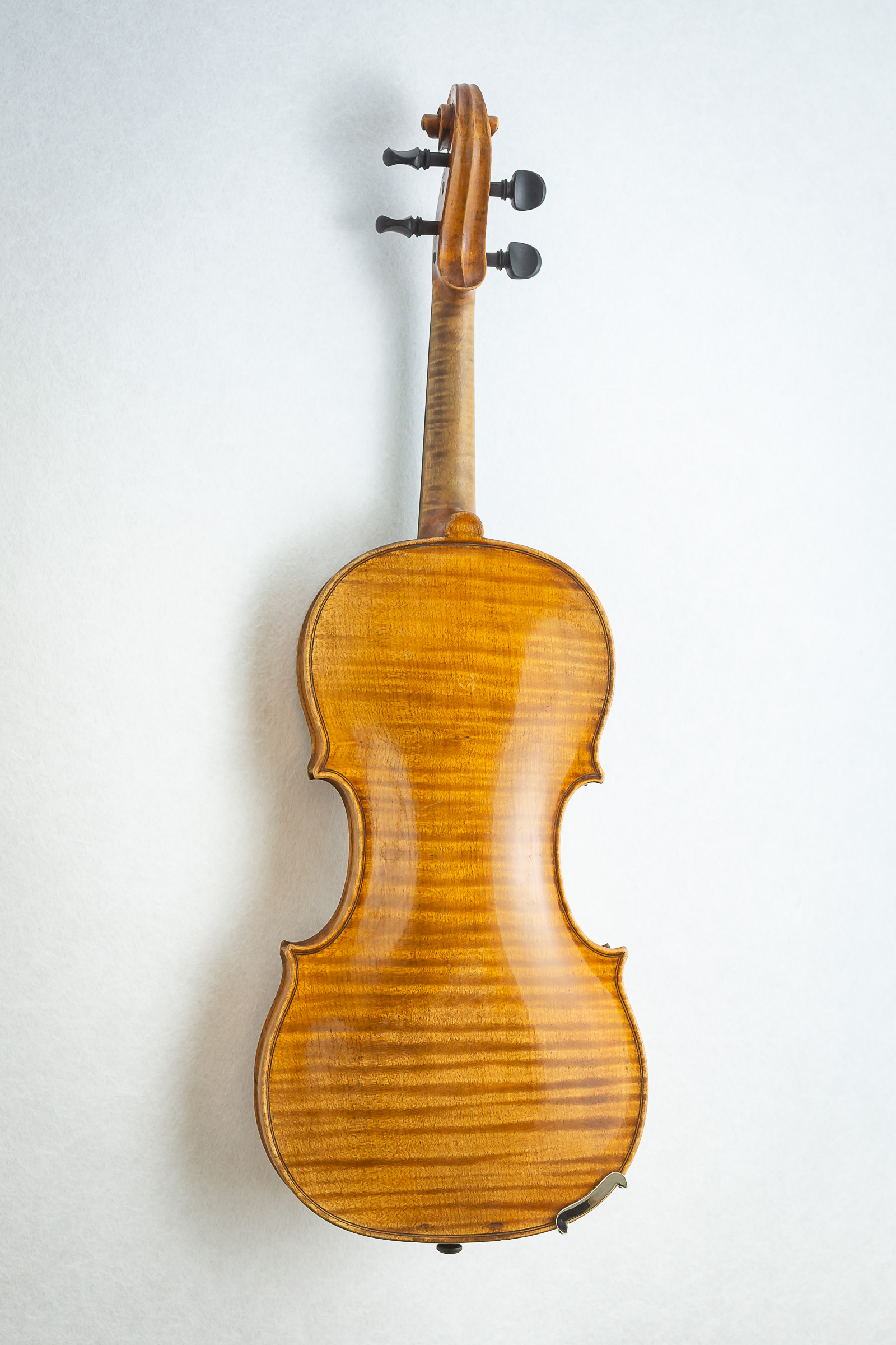 Violin008