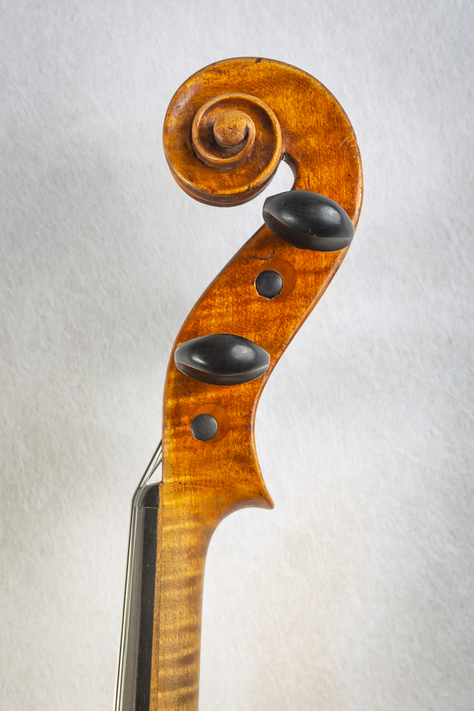 Violin022
