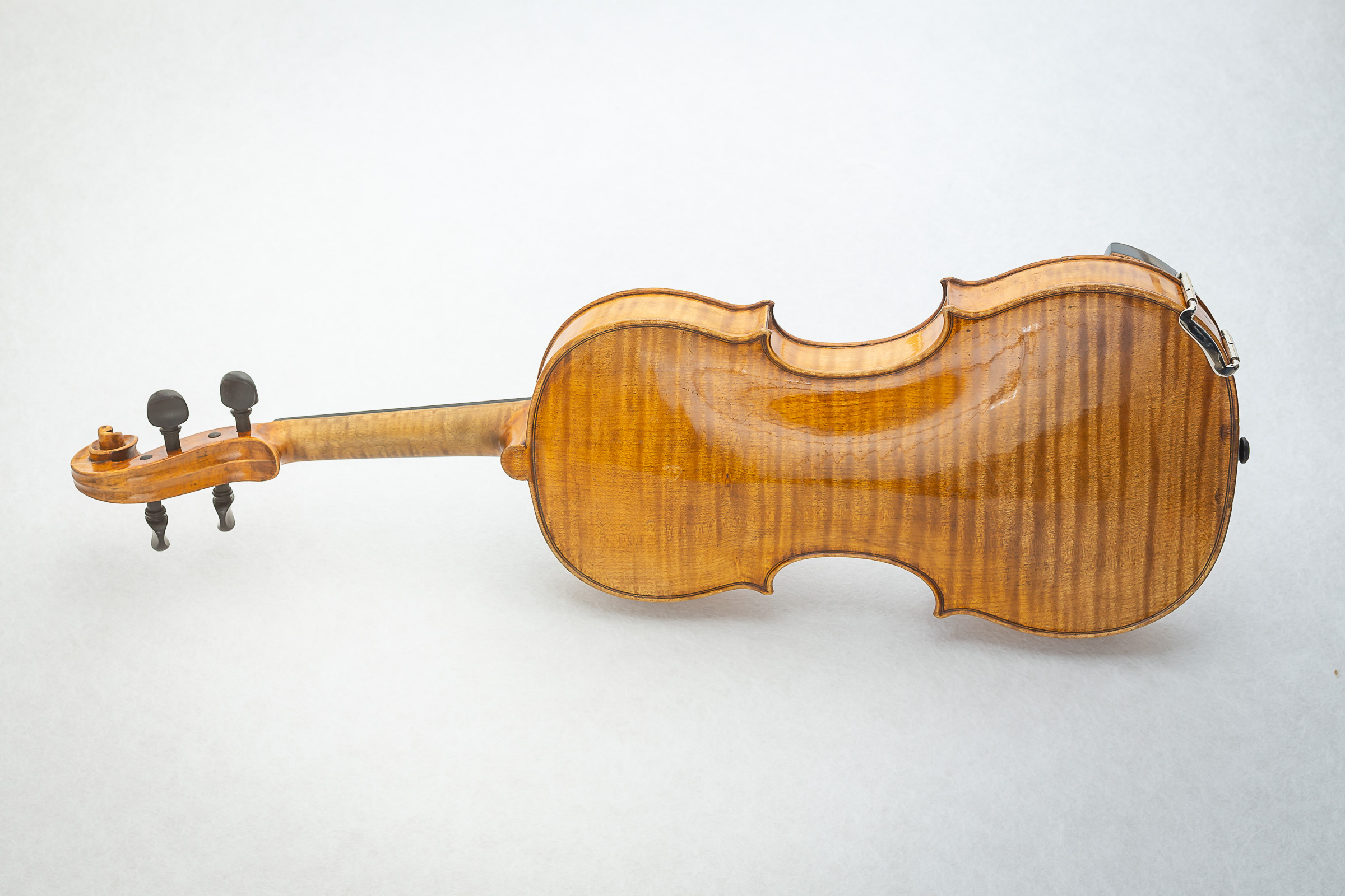 Violin018