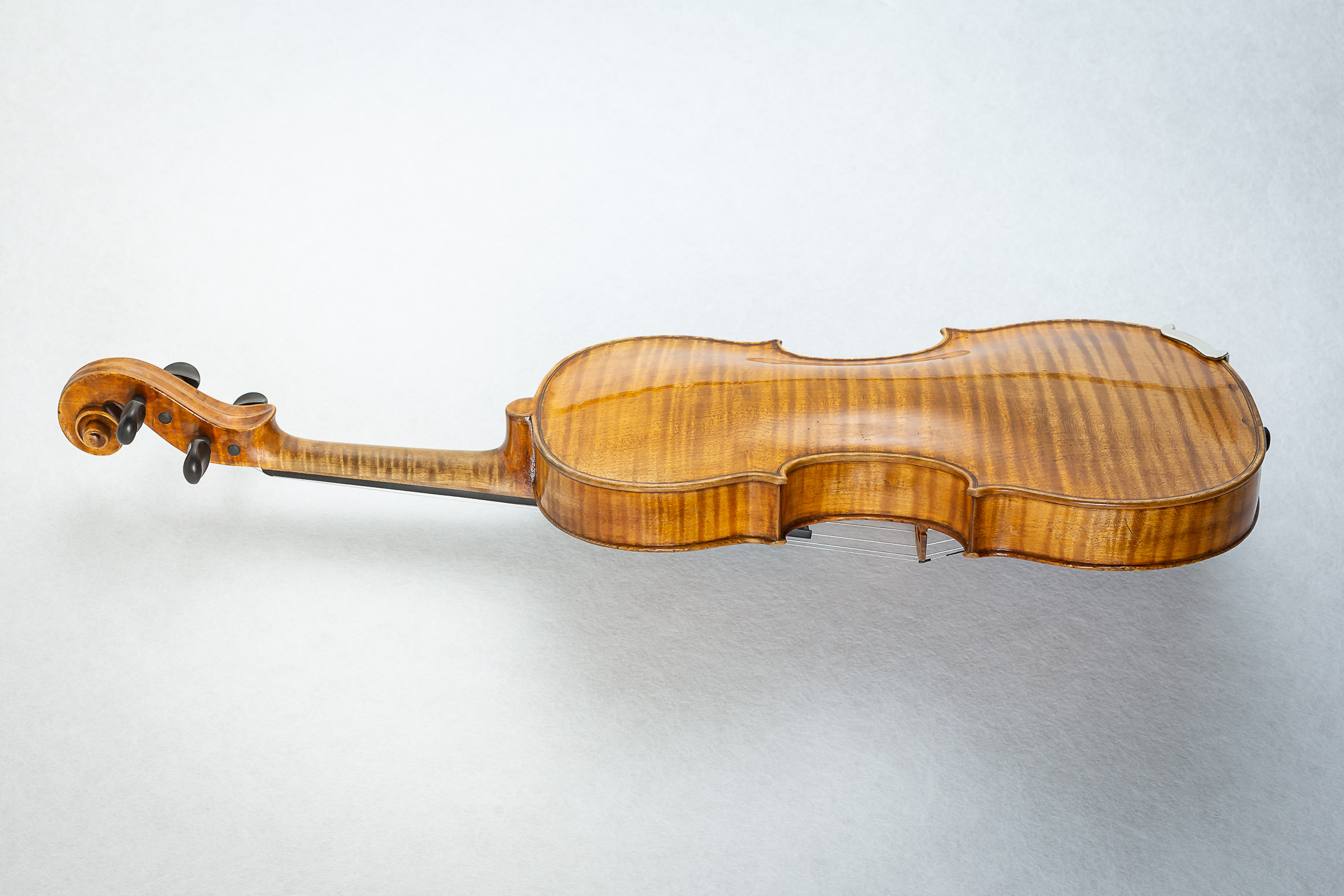 Violin002
