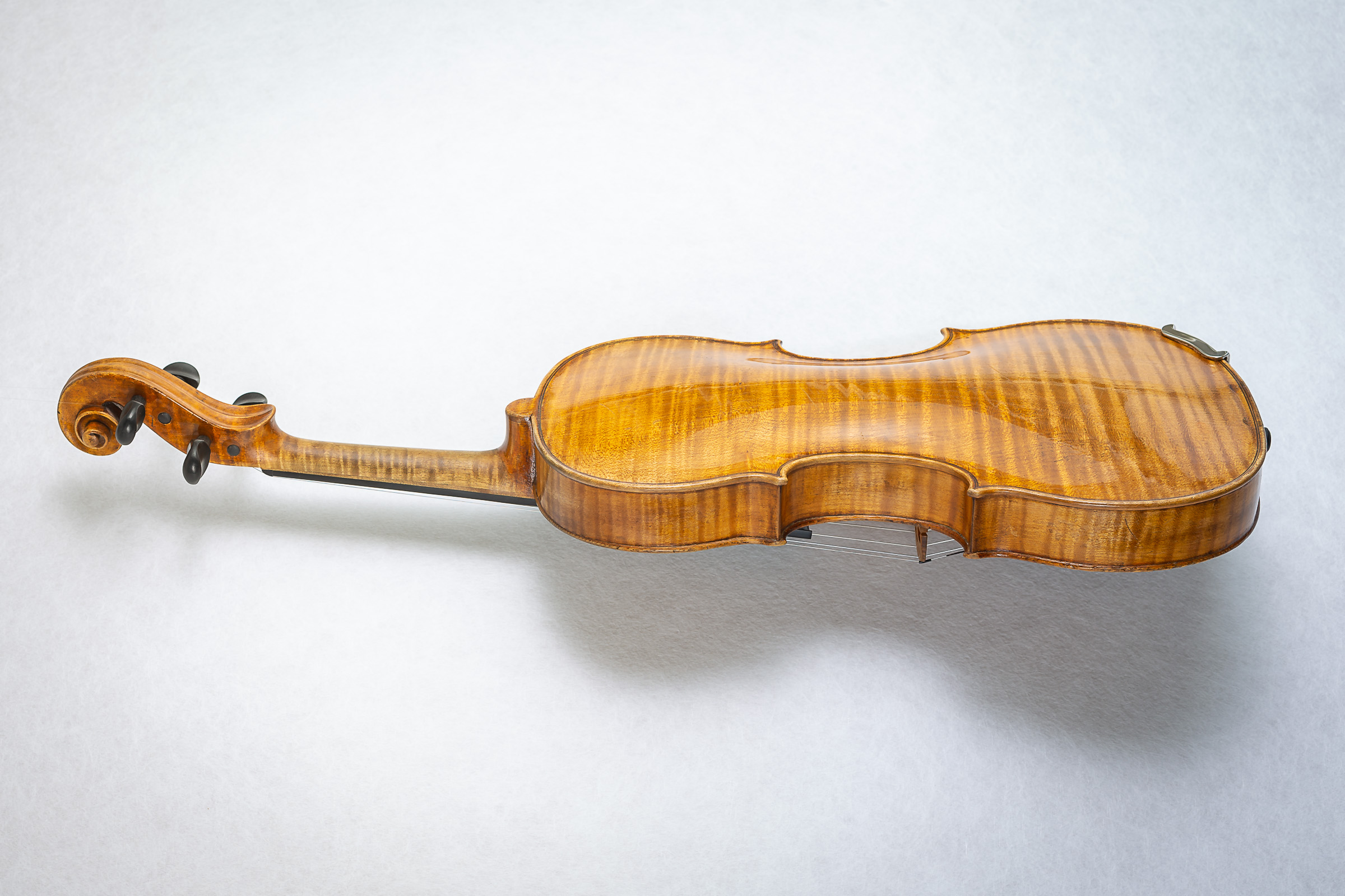 Violin001